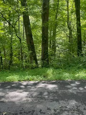 Gatlinburg, TN 37738,Lot 4 Lake DR