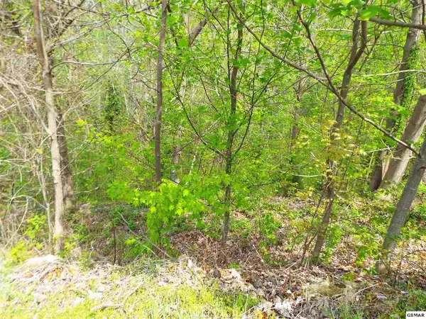 Sevierville, TN 37862,Lot 63E Redtail RD