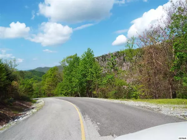 Sevierville, TN 37862,Lot 63E Redtail RD