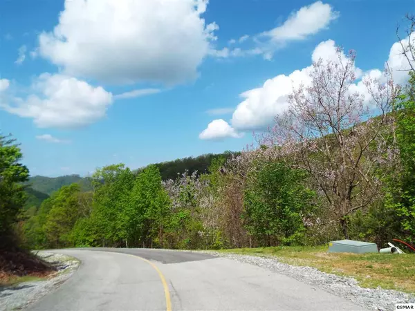 Sevierville, TN 37862,Lot 63E Redtail RD