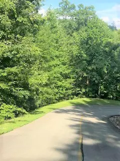 Sevierville, TN 37862,Lot 54 Whetstone