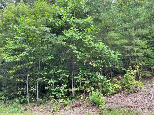 Lot 28 BURNING OAKS DR, Sevierville, TN 37876