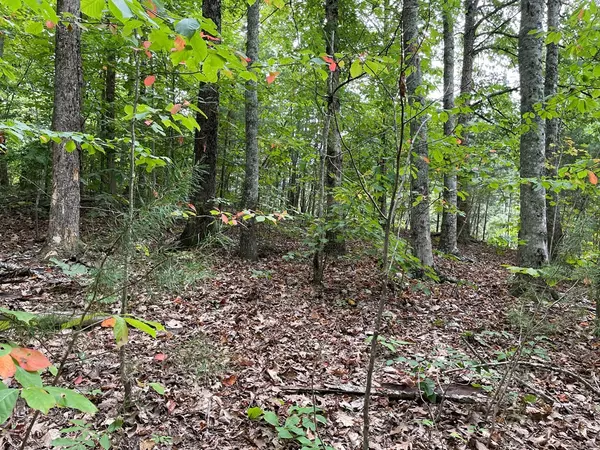 Sevierville, TN 37876,Lot 28 BURNING OAKS DR