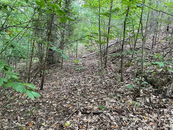 Sevierville, TN 37876,Lot 28 BURNING OAKS DR