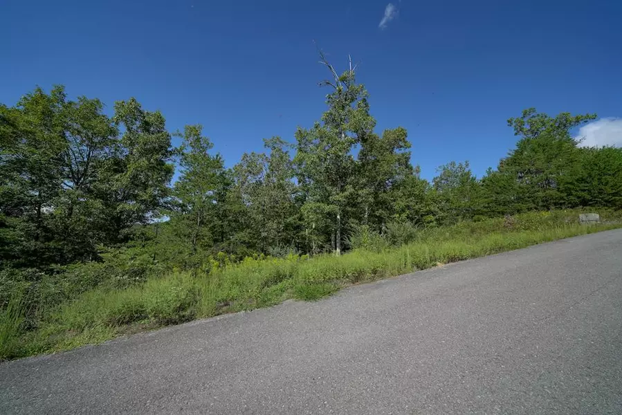 Lot 12 Mountain Ash WAY, Sevierville, TN 37876