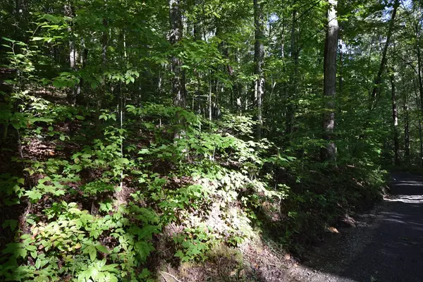 Sevierville, TN 32862,Lot 33R Whipoorwill Hill WAY