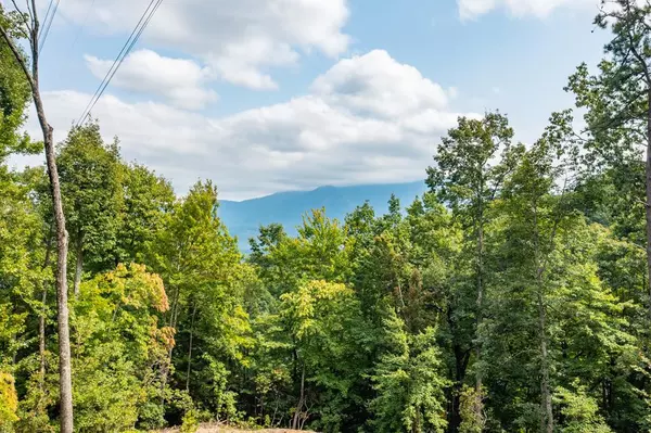 Arbon DR, Gatlinburg, TN 37738