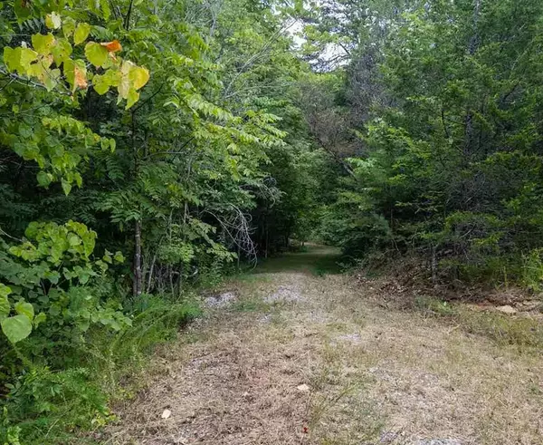 Sevierville, TN 32862,lot 11 Pleasure RD