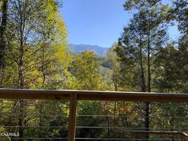 Gatlinburg, TN 37738,359 Gatlin DR