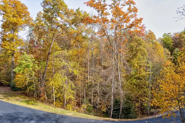 Sevierville, TN 37862,Lot 20 Whetstone