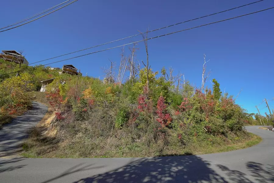 Lot 165 Cliff Branch RD, Gatlinburg, TN 37738