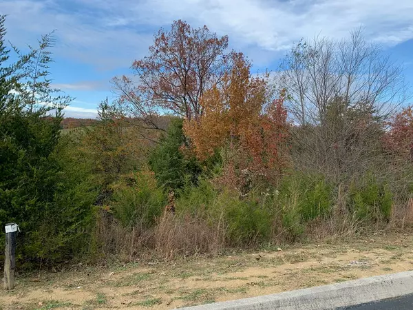 Sevierville, TN 37876,Lot 82 Blue Herring WAY