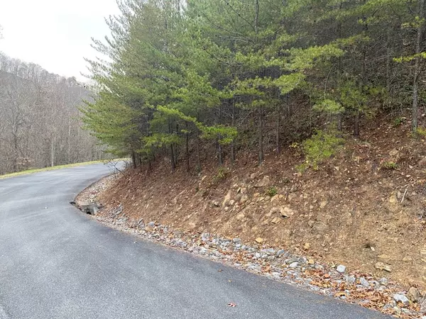 Sevierville, TN 37876,Lot 167E Jones Creek LN