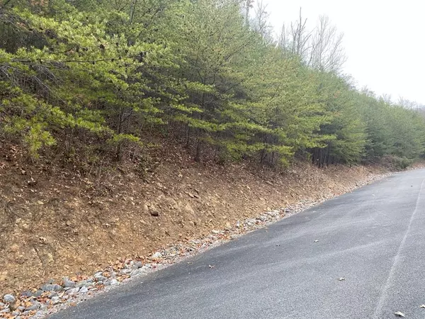 Sevierville, TN 37876,Lot 167E Jones Creek LN