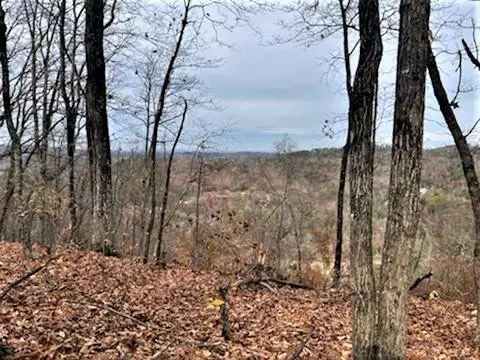 Tr-4 Pulaski LN, Sevierville, TN 37862