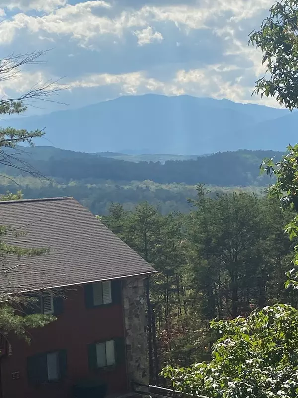 Gatlinburg, TN 37738,429 DEER PATH LN UNIT 101