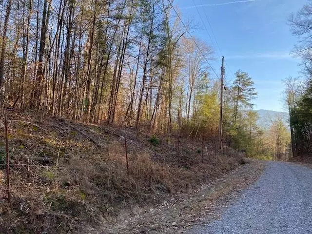 Cosby, TN 37722,Lot 21 Pleasant Valley RD