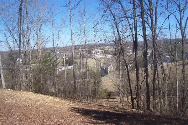 Kodak, TN 37764,Lot 5 Sandpiper CT