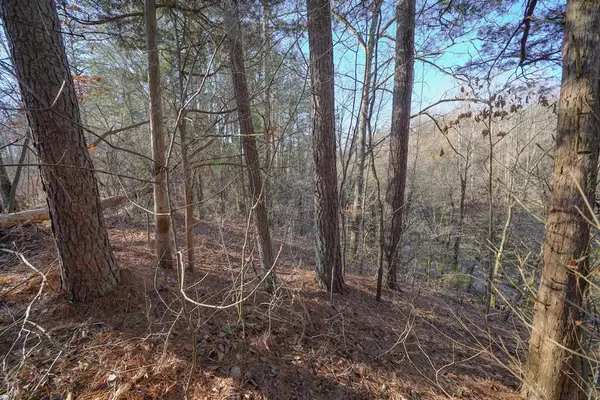 Sevierville, TN 37876,New Era Lot 151 S New Era RD