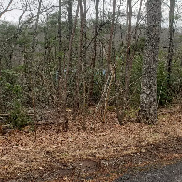 Sevierville, TN 37876,Lot 551 SKY VIEW DR