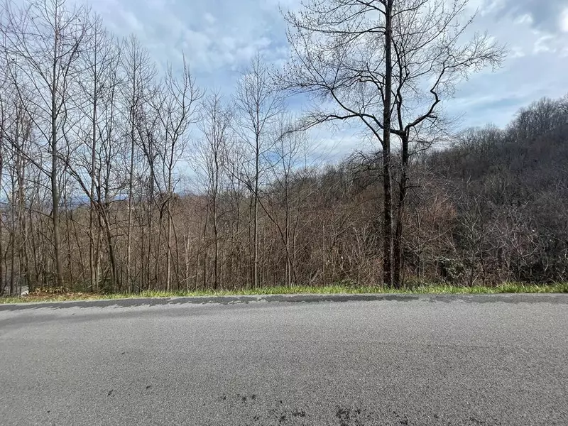 Lot 30 Tamins DR, Gatlinburg, TN 37738