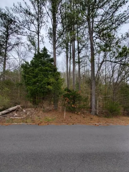 Lot 19 Litton DR, Seymour, TN 37865