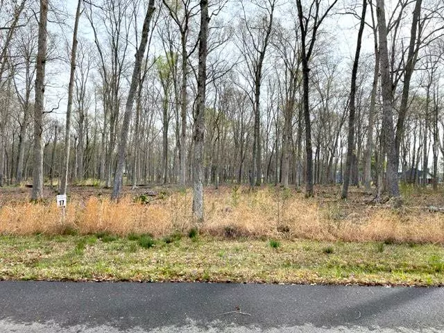 Dandridge, TN 37725,Lot 17 Peaceful PT