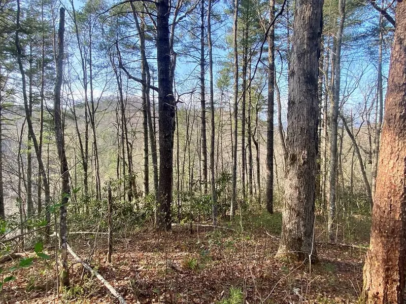 Lot 96 Whetstone, Sevierville, TN 37862