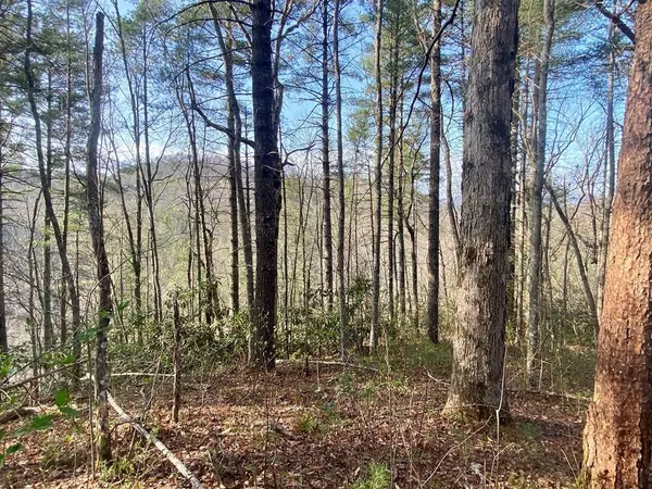 Sevierville, TN 37862,Lot 96 Whetstone