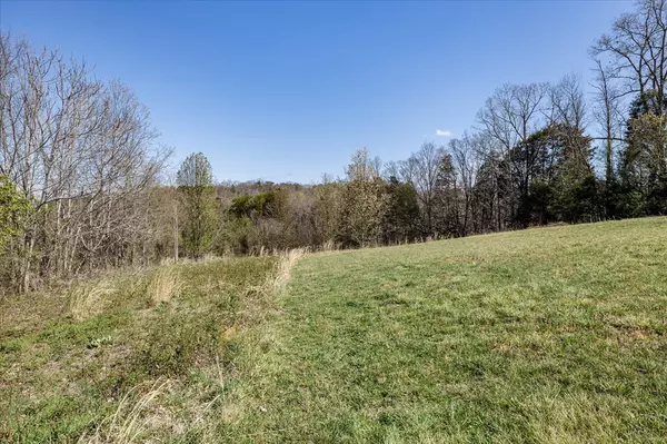 Kodak, TN 37764,Lot 3R Piney RD