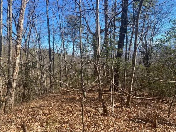 Sevierville, TN 37876,Lot 44 Mountain Ash WAY