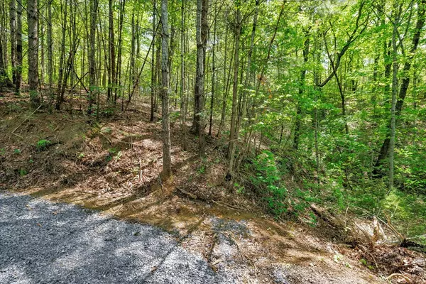 Sevierville, TN 37862,Lot 9 Cove Creek WAY