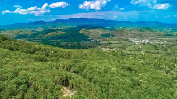 Cosby, TN 37727,2 Ac Rocky Ridge RD