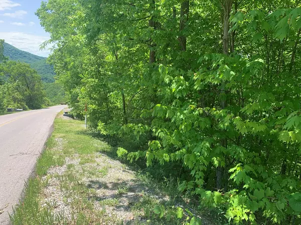 Sevierville, TN 37862,Lot 60E Redtail RD