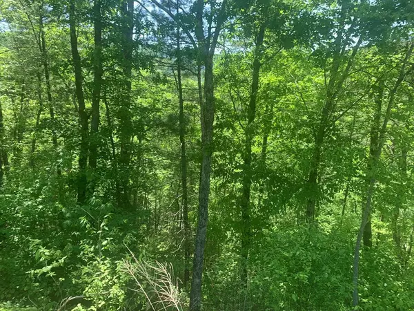 Sevierville, TN 37862,Lot 14 Clearview RD