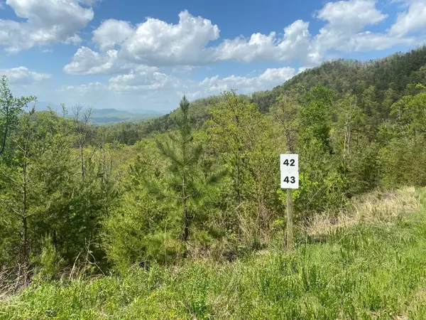 Sevierville, TN 37876,Lot 43 Mountain Ash WAY