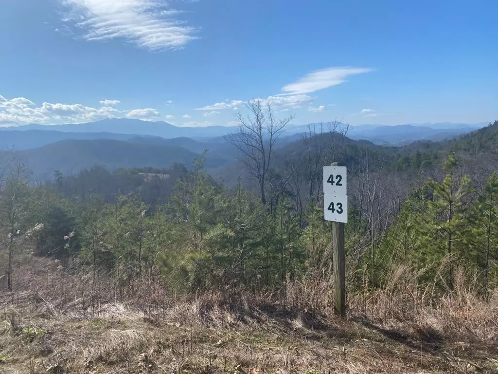 Sevierville, TN 37876,Lot 43 Mountain Ash WAY