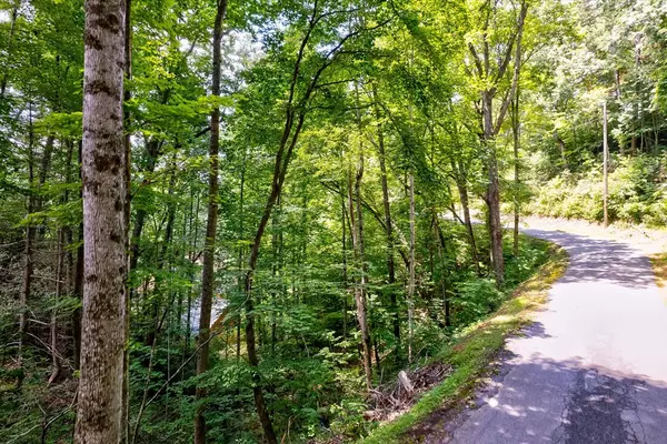 Sevierville, TN 37876,Lot 80 Honeysuckle LN