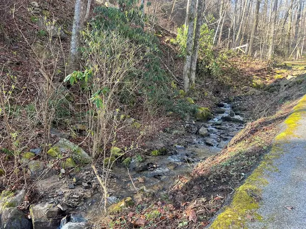 Gatlinburg, TN 37738,Lot 528 Deep Hollow RD