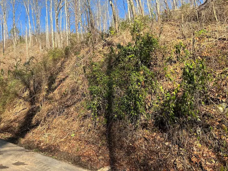 Lot 528 Deep Hollow RD, Gatlinburg, TN 37738