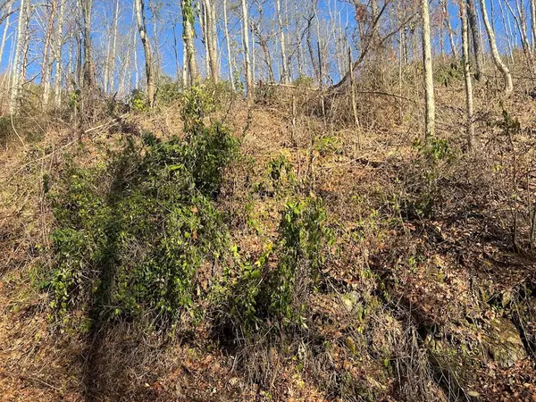 Gatlinburg, TN 37738,Lot 528 Deep Hollow RD