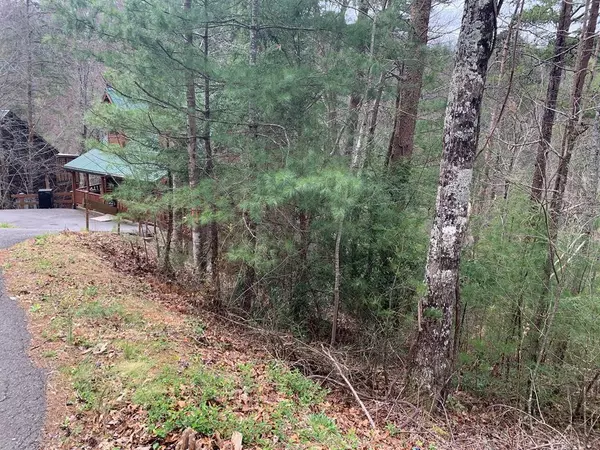 Gatlinburg, TN 37738,Lot 19 Lindsey Mill RD