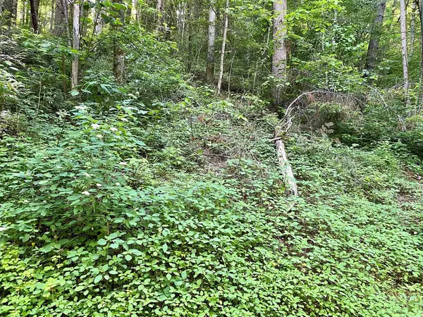 Lot 12 Sunset RD, Sevierville, TN 37862