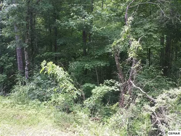 Sevierville, TN 37876,LOt 4 Buena VIS