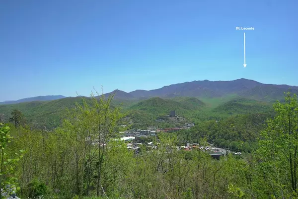 Gatlinburg, TN 37738,855 Campbell Lead RD #205