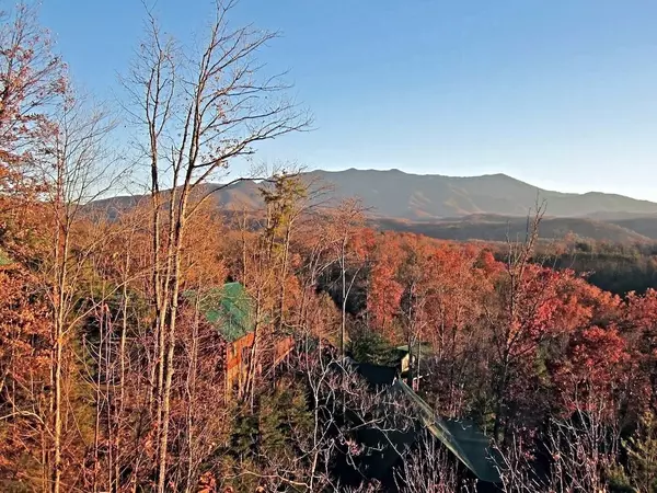 Gatlinburg, TN 37738,863 High Mountain WAY