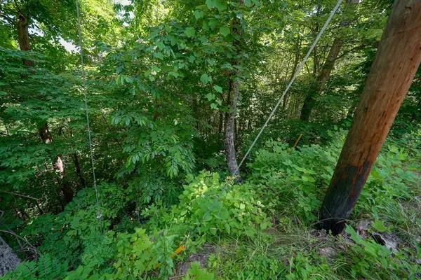 Gatlinburg, TN 33738,Lot 47 Arbon CT