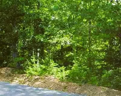 Sevierville, TN 37862,Lot 37 Ginas WAY