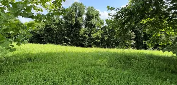 lot 11 River Cliff DR, Kodak, TN 37764