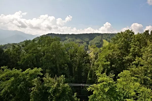 Gatlinburg, TN 37738,1260 Ski View DR